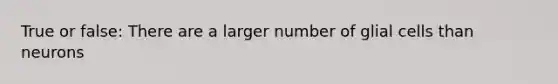 True or false: There are a larger number of glial cells than neurons