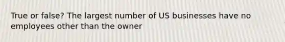 True or false? The largest number of US businesses have no employees other than the owner