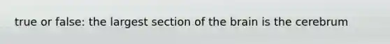 true or false: the largest section of the brain is the cerebrum