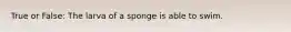 True or False: The larva of a sponge is able to swim.