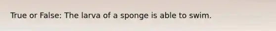 True or False: The larva of a sponge is able to swim.