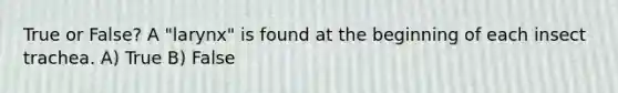 True or False? A "larynx" is found at the beginning of each insect trachea. A) True B) False