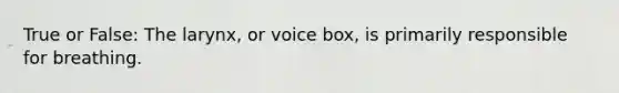 True or False: The larynx, or voice box, is primarily responsible for breathing.