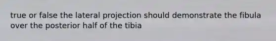 true or false the lateral projection should demonstrate the fibula over the posterior half of the tibia