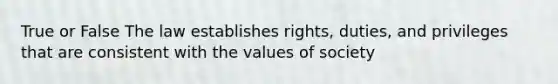 True or False The law establishes rights, duties, and privileges that are consistent with the values of society