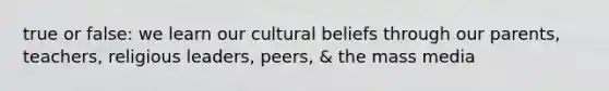 true or false: we learn our cultural beliefs through our parents, teachers, religious leaders, peers, & the mass media