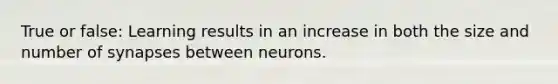 True or false: Learning results in an increase in both the size and number of synapses between neurons.