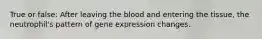 True or false: After leaving the blood and entering the tissue, the neutrophil's pattern of gene expression changes.