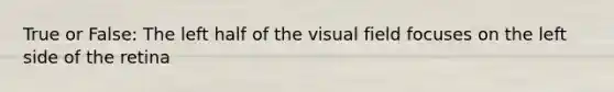 True or False: The left half of the visual field focuses on the left side of the retina