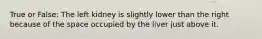 True or False: The left kidney is slightly lower than the right because of the space occupied by the liver just above it.