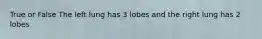 True or False The left lung has 3 lobes and the right lung has 2 lobes