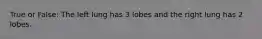 True or False: The left lung has 3 lobes and the right lung has 2 lobes.