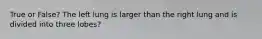 True or False? The left lung is larger than the right lung and is divided into three lobes?