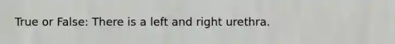 True or False: There is a left and right urethra.