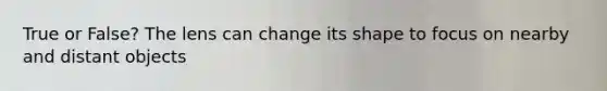 True or False? The lens can change its shape to focus on nearby and distant objects
