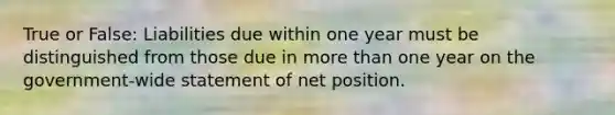 True or False: Liabilities due within one year must be distinguished from those due in more than one year on the government-wide statement of net position.