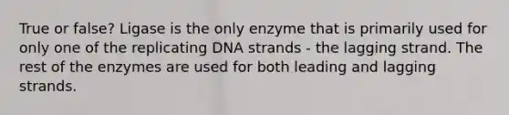 True or false? Ligase is the only enzyme that is primarily used for only one of the replicating DNA strands - the lagging strand. The rest of the enzymes are used for both leading and lagging strands.