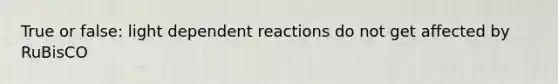 True or false: light dependent reactions do not get affected by RuBisCO