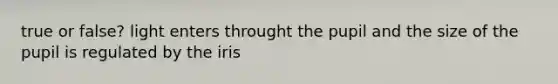true or false? light enters throught the pupil and the size of the pupil is regulated by the iris