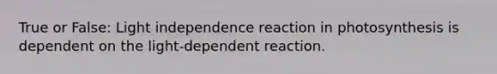 True or False: Light independence reaction in photosynthesis is dependent on the light-dependent reaction.