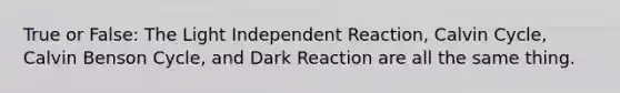 True or False: The Light Independent Reaction, Calvin Cycle, Calvin Benson Cycle, and Dark Reaction are all the same thing.