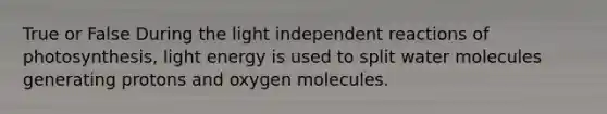 True or False During the light independent reactions of photosynthesis, light energy is used to split water molecules generating protons and oxygen molecules.