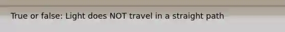 True or false: Light does NOT travel in a straight path