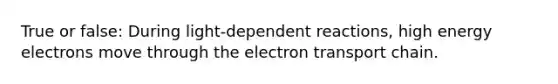 True or false: During light-dependent reactions, high energy electrons move through the electron transport chain.