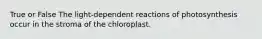 True or False The light-dependent reactions of photosynthesis occur in the stroma of the chloroplast.