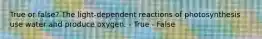 True or false? The light-dependent reactions of photosynthesis use water and produce oxygen. - True - False