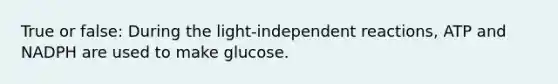 True or false: During the light-independent reactions, ATP and NADPH are used to make glucose.