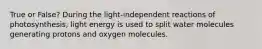 True or False? During the light-independent reactions of photosynthesis, light energy is used to split water molecules generating protons and oxygen molecules.