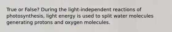 True or False? During the light-independent reactions of photosynthesis, light energy is used to split water molecules generating protons and oxygen molecules.