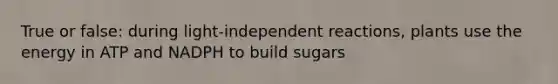 True or false: during light-independent reactions, plants use the energy in ATP and NADPH to build sugars