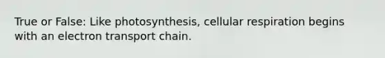 True or False: Like photosynthesis, <a href='https://www.questionai.com/knowledge/k1IqNYBAJw-cellular-respiration' class='anchor-knowledge'>cellular respiration</a> begins with an electron transport chain.