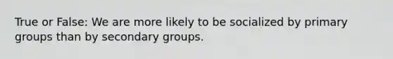 True or False: We are more likely to be socialized by primary groups than by secondary groups.