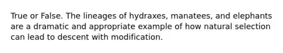 True or False. The lineages of hydraxes, manatees, and elephants are a dramatic and appropriate example of how natural selection can lead to descent with modification.