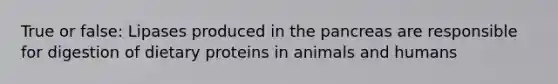True or false: Lipases produced in the pancreas are responsible for digestion of dietary proteins in animals and humans