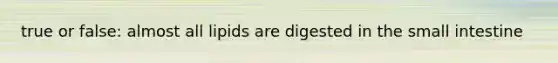 true or false: almost all lipids are digested in the small intestine