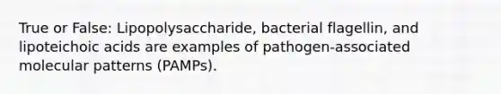 True or False: Lipopolysaccharide, bacterial flagellin, and lipoteichoic acids are examples of pathogen-associated molecular patterns (PAMPs).