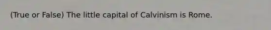 (True or False) The little capital of Calvinism is Rome.