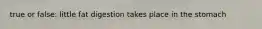 true or false: little fat digestion takes place in the stomach