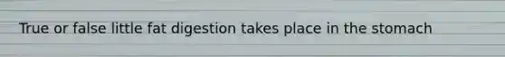 True or false little fat digestion takes place in the stomach