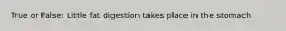 True or False: Little fat digestion takes place in the stomach