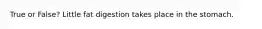 True or False? Little fat digestion takes place in the stomach.