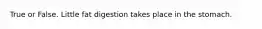 True or False. Little fat digestion takes place in the stomach.