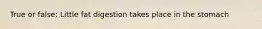True or false: Little fat digestion takes place in the stomach