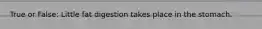 True or False: Little fat digestion takes place in the stomach.