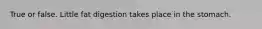 True or false. Little fat digestion takes place in the stomach.