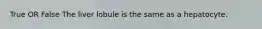 True OR False The liver lobule is the same as a hepatocyte.